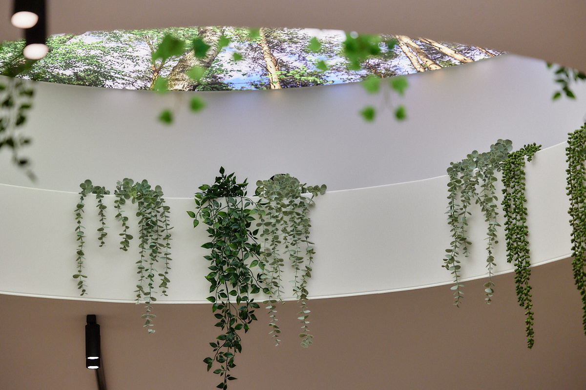 AF-Fotografie - AFF_5684