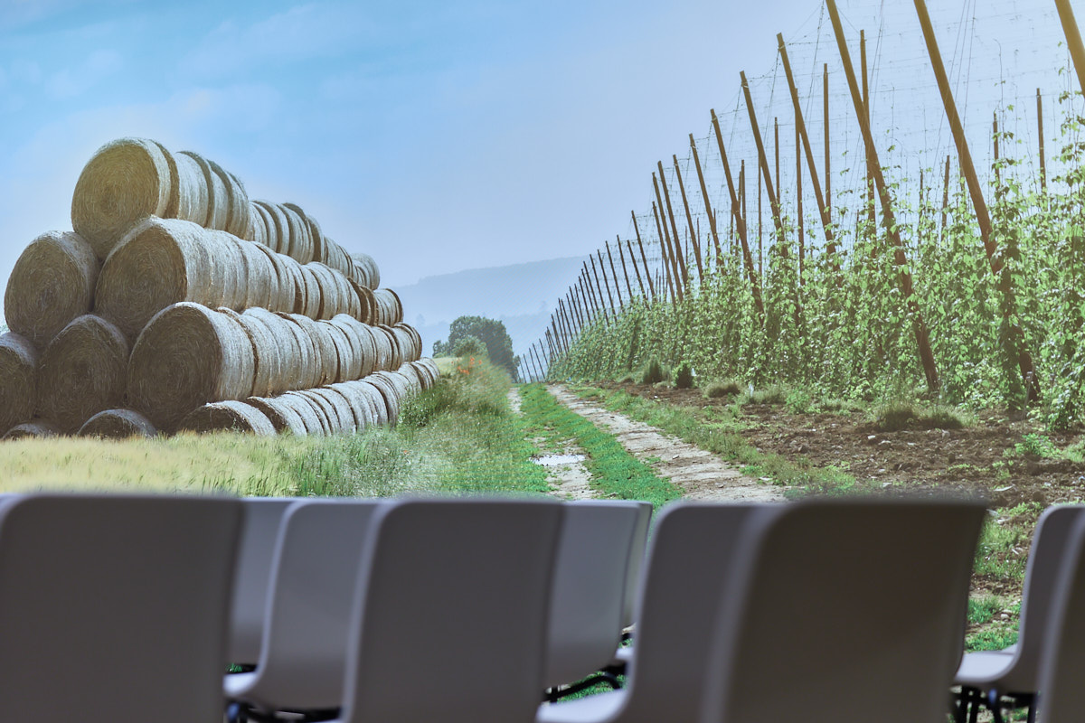 AF-Fotografie - AFF_5689